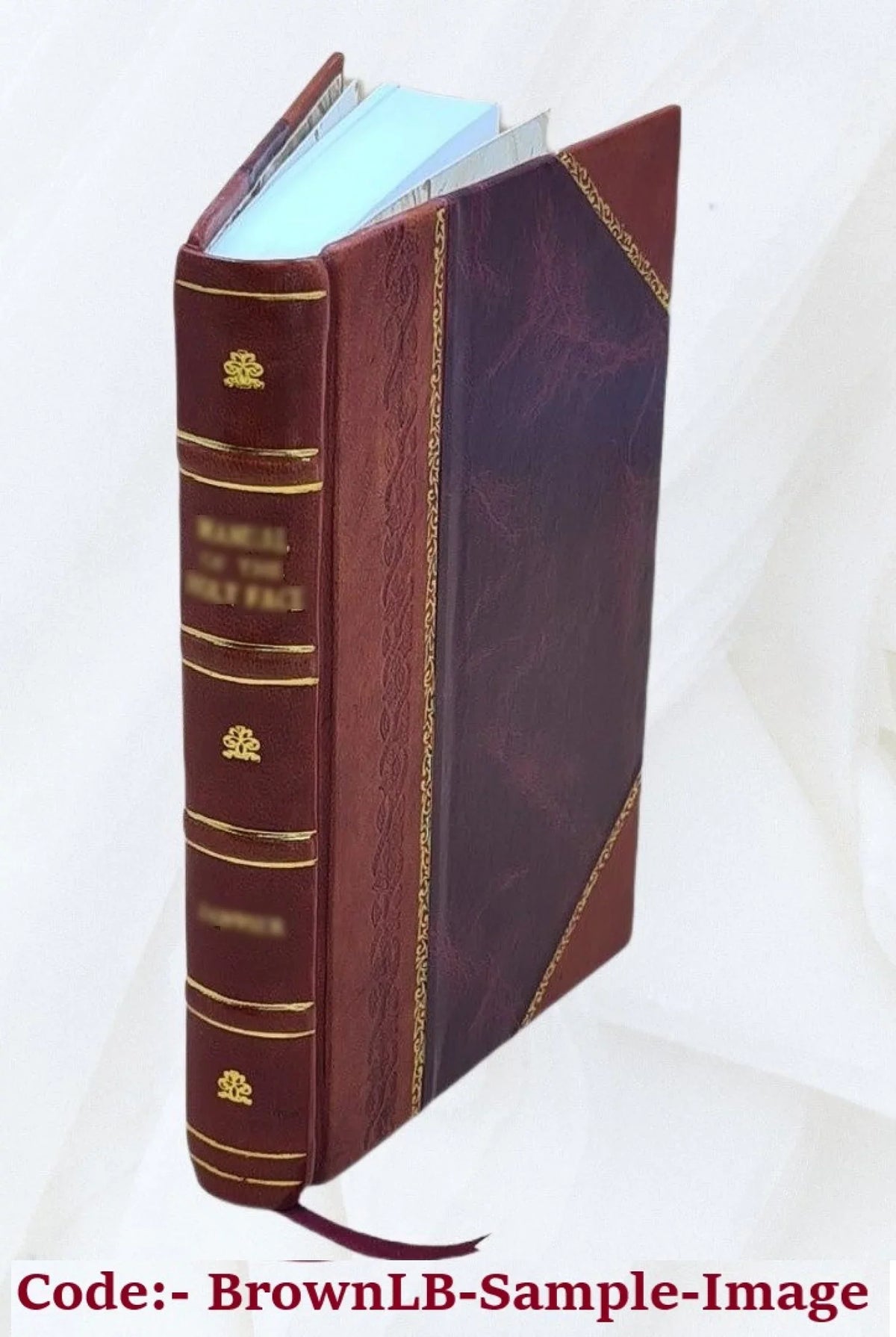 Herodotus Books V and VI: Terpsichore and Erato. Edited with notes and appendices by Evelyn Abbott. 1893 [Leather Bound]