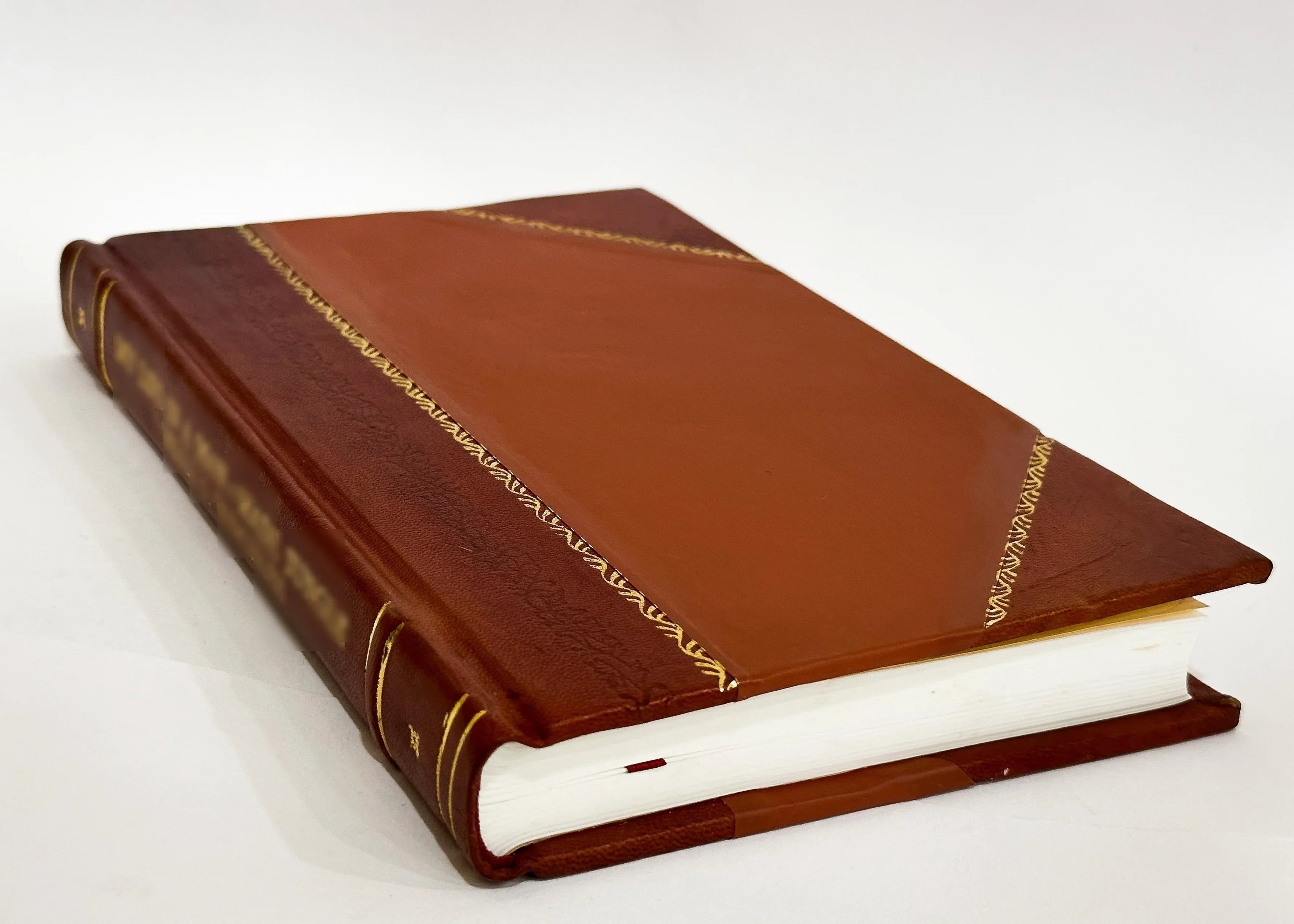 Report on Drainage and Prevention of Overflow in the Valley of the Red River of the North / Simons, Perry Thomasking, Forest V. (Forest Volney) (1922) (1922) Volume no.1017 [Leather Bound]